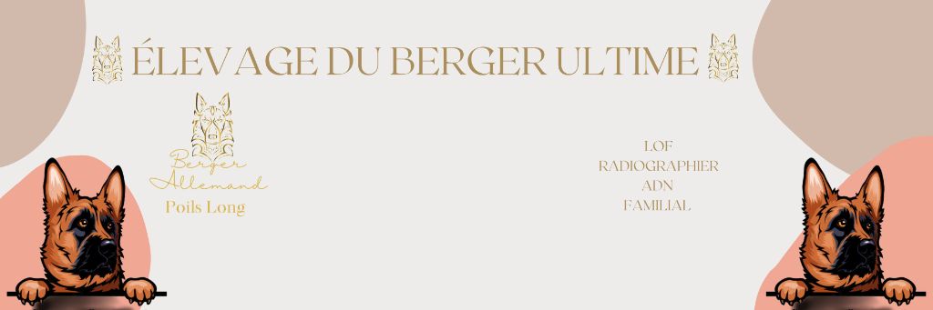 Du Berger Ultime - Info